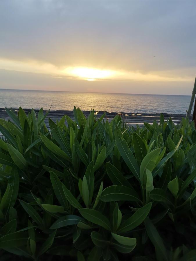 Anastasia Apartment Agia Marina  ภายนอก รูปภาพ